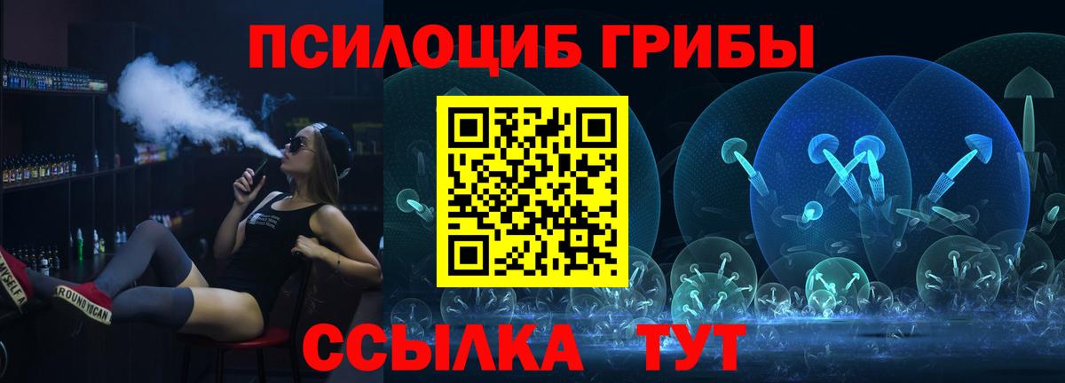 закладки  Псилоцибиновые грибы GOLDEN TEACHER  Вход с VPN  Бахчисарай 