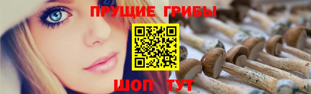 Галлюциногенные грибы прущие грибы Бахчисарай